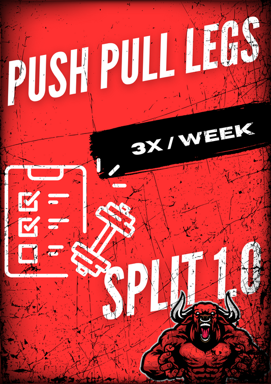 PUSH PULL LEGS PROGRAM 1.0 (3X/WEEK)
